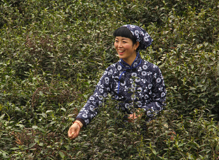 百丽直播 更新1